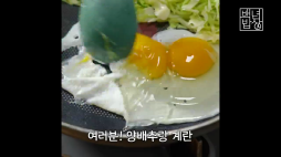 백년밥상_양배추 계란김밥